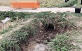 Hồ sơ vụ án: Thi thể người phụ nữ dưới cống và chiếc sim điện thoại lộ ra chân tướng hung thủ (bài 2)