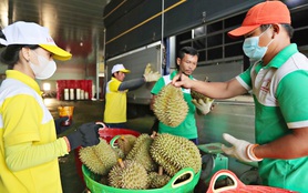 Loại trái cây đặc sản bán đắt tiền này đã mang về 110 triệu USD cho Lâm Đồng
