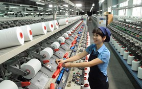  Chủ tịch HUBA: Chỉ có 10% doanh nghiệp TP.HCM còn 50% đơn hàng