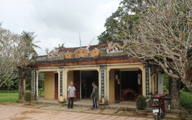 Một làng cổ ở Quảng Ngãi đẹp như phim, nhà rường cổ kính, có cây cổ thụ hình thù kỳ dị