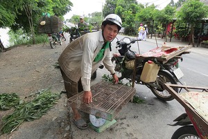 Miền Tây "ôm lũ" vào lòng - Ảnh 7.