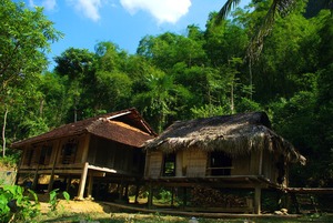 Du lịch bản Thái trong rừng trúc ở Thanh Hóa