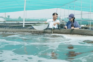 Dùng bể tròn vách đứng tận thu chất thải của tôm để nuôi cá kèo
