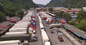Bộ NNPTNT chỉ đạo khắc phục tình trạng ùn ứ nông sản ở cửa khẩu Tân Thanh