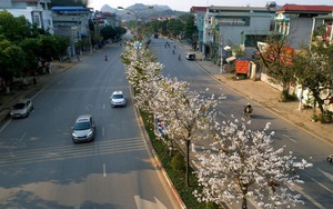 Thành phố Sơn La: Tăng cường các giải pháp bảo vệ môi trường