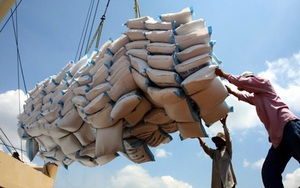 Trung Quốc tăng cường nhập gạo Việt Nam với giá “khủng”