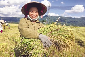 Lai Châu: Kết nối giới thiệu việc làm cho thanh niên dân tộc thiểu số - Ảnh 4.