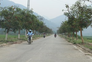 Huyện Phù Yên: Nông thôn Quang Huy khởi sắc