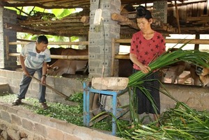 Quỹ hỗ trợ, điểm tựa của nông dân