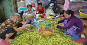 Cà na, bông điên điển: Quả dại, hoa dại- sản vật mùa nước nổi ngày nào giờ hóa thành đặc sản hết thảy