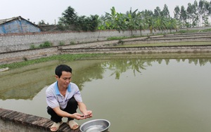 Hà Nội: Hỗ trợ vốn vay hơn 216 tỷ đồng cho 10.000 nông  dân
