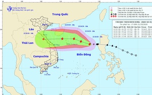 Bão số 8 sắp đổ bộ, giật cấp 14, cơ quan khí tượng thủy văn cảnh báo điều gì?