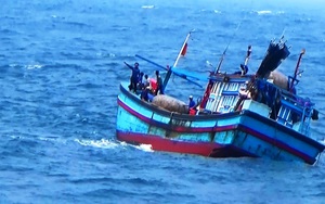 Bình Định: Cứu sống 4 thuyền viên gặp nạn do tàu đánh cá bị phá nước