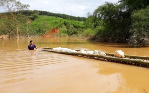 Kon Tum: Thủy điện Plei Kần tích nước &quot;vô lối&quot;: Đề nghị xử lý 2 vi phạm nghiêm trọng của Công ty Tấn Phát 