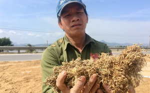 Trắng tay sau lũ lịch sử, nông dân Quảng Bình nói cần những thứ này nhất