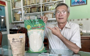 Gạo sữa của ông tỷ phú nông dân tỉnh An Giang là thứ gạo gì mà bán từ trong nước ra nước ngoài?  