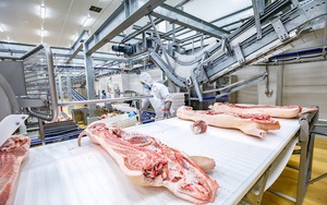 Sau thịt lợn mát, Masan rót 613 tỷ đồng để sở hữu Công ty 3F Việt, chính thức bước chân vào chế biến thịt gà