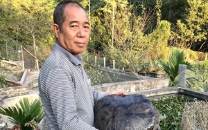 Tuyên Quang: Ông tỷ phú nông dân nuôi loài "thủy quái" to bự, lưng đen bóng, thương lái cứ gạ mua