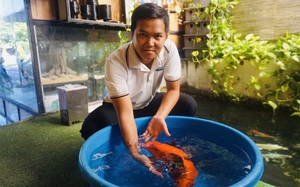 Đà Nẵng: Nông dân phường 9X nuôi loài cá 