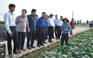 Thái Bình: &quot;Nóng&quot; chuyện chuyển đổi đất lúa, phá thế độc canh ở &quot;quê hương năm tấn&quot;