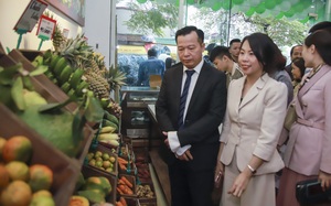Rộn ràng trải nghiệm mua sắm thực phẩm sạch tại Hà Nội