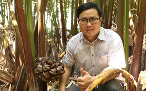 Có một không hai ở Việt Nam: Anh kỹ sư hot boy bắt cây dừa nước tiết ra mật
