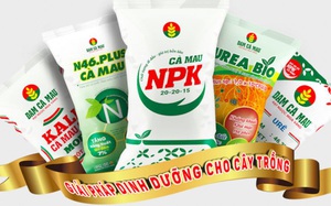 PVCFC chính thức mở rộng thương hiệu