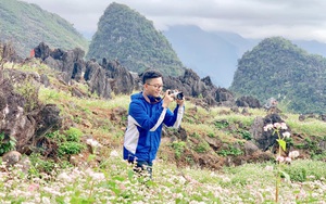 Lễ hội hoa Tam giác mạch tỉnh Hà Giang lần thứ VI: Sắc hoa cao nguyên đá