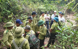 Quỹ Bảo vệ và phát triển rừng Quảng Nam: Vượt khó khăn để hoàn thành nhiệm vụ