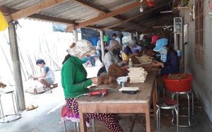 Bình Định: Nhặt thứ cả làng vứt đi, ai ngờ mang về lại bán kiếm bộn tiền