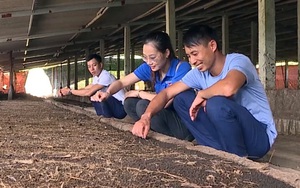 Phú Thọ: Nuôi con ăn đồ bẩn để làm ra đồ sạch, anh nông dân này đang là &quot;con nợ&quot; bất ngờ khá giả