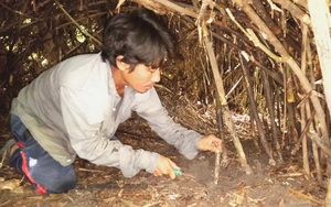 Tây Ninh: Sản vật núi rừng ở đây là thứ gì mà dân đi đào gặp nguy hiểm vẫn cứ đi?