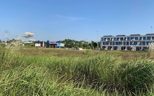 Những dự án đấu giá đất bị "làm xiếc" ở Phú Thọ: Có đủ dấu hiệu để khởi tố?