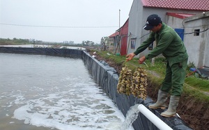 Giữa đại dịch Covid-19, ngành thủy sản Việt Nam vẫn tăng trưởng cao 5,2%/năm