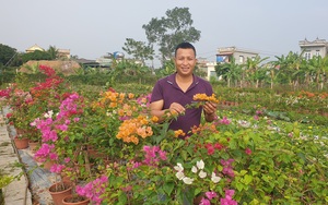 Thái Bình: Trồng bạt ngàn hoa lạ, cây cảnh lạ trên ruộng bỏ hoang, ông nông dân 8X có cơ ngơi tiền tỷ