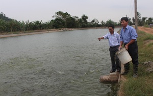 Thứ trưởng Bộ Lao động Thương binh và Xã hội Lê Tấn Dũng: Nâng cao trình độ lao động nông nghiệp