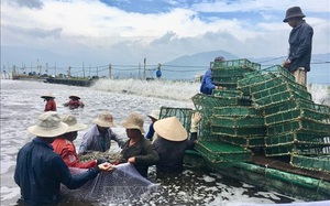 Khánh Hòa: Hội Nông dân xã Cam An Nam đưa vào sử dụng công trình thắp sáng đường nông thôn - Ảnh 9.