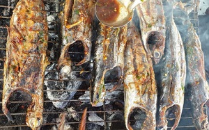 Phú Yên: Cá Ồ là cá gì mà khách lạ đến đây khi ăn muốn an toàn thì bẻ một tí đuôi ăn trước?