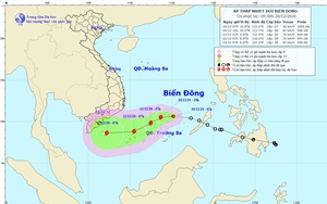 Cảnh báo: Xuất hiện gió mạnh cấp 9 trên vùng biển Bình Định đến Ninh Thuận, mạnh hơn áp thấp nhiệt đới