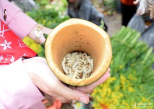 Rét căm căm, dân vẫn mang sâu măng, chuột rừng, mắc khén, rau dại "bán lẻ" ở vùng cao Nghệ An