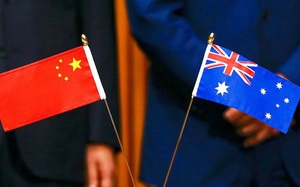 Trung - Úc 'căng như dây đàn': gần chục tấn bò và bia Úc mắc kẹt ở Trung Quốc 