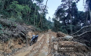 Khởi tố vụ mở hơn 2,4km đường vào phá rừng tự nhiên ở Bắc Kạn