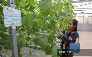 Triển khai hàng chục chương trình nghiên cứu KHCN nông nghiệp công nghệ cao ứng dụng vào nông nghiệp