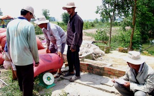 Long An: Vì sao tỉnh này khuyến cáo nông dân không tăng diện tích lúa nếp?