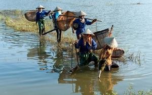 Hấp dẫn chợ phiên không tiền mặt ở Ninh Bình- Ảnh 8.