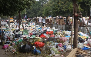 Chủ tịch Hà Nội yêu cầu thanh tra toàn diện việc thu gom rác thải của Công ty Minh Quân