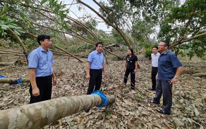Phó Thống đốc Đào Minh Tú hiến kế giúp người dân miền Trung - Tây Nguyên khắc phục sau bão, lũ