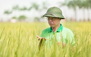 Anh hùng Lao động- doanh nhân Trần Mạnh Báo và mong mỏi truyền cảm hứng cho những bạn trẻ chưa thật yêu mến nông nghiệp