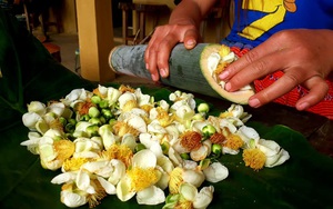 Ủ trà shan tuyết bằng ống tre, đặc sản của người Mông 