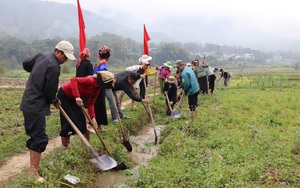 Hội Nông dân Thuận Châu: Tích cực xây dựng nông thôn mới